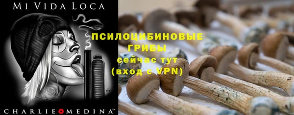 дмт Богородицк